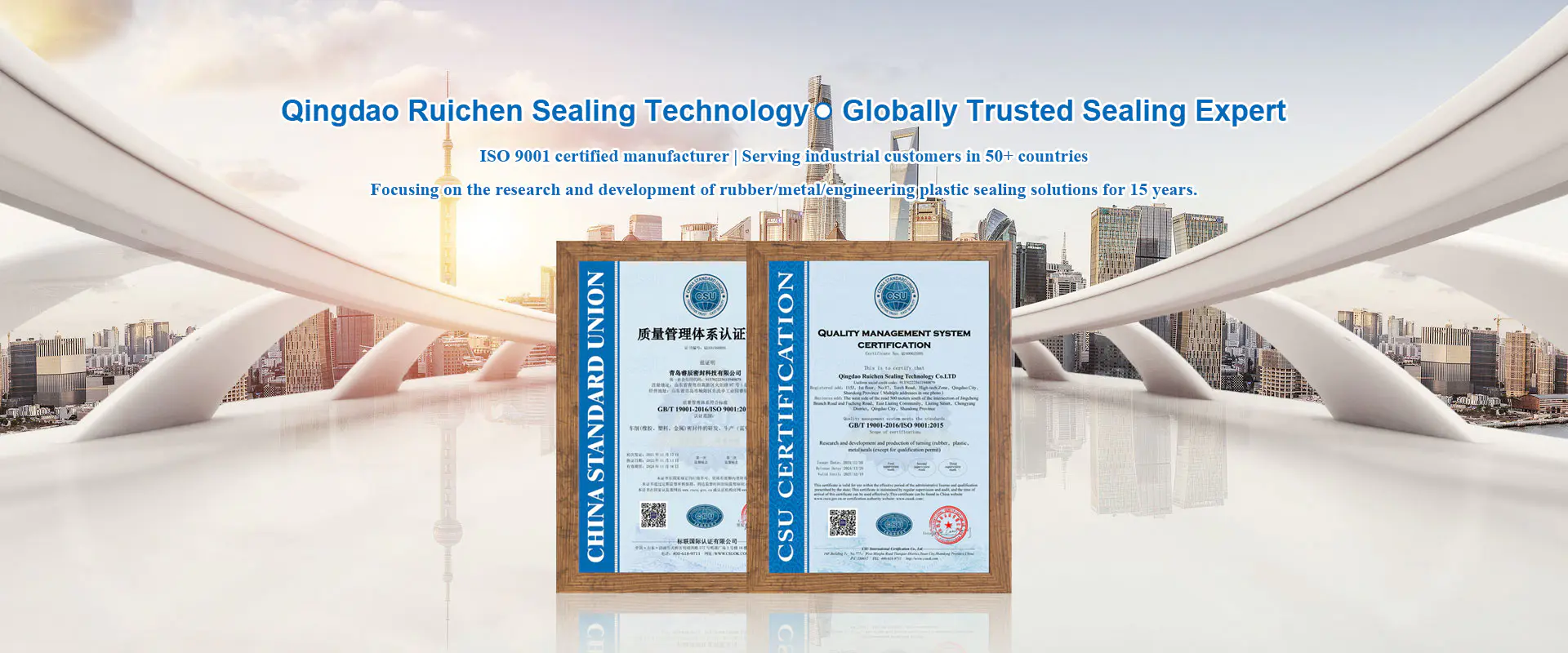 China verzegelingsonderdelen fabrikant