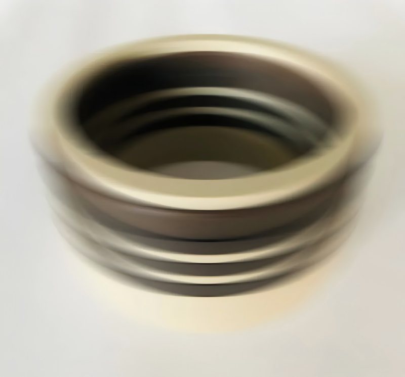 Ruichen Seal's 600MPa watermedium waterbevredigende afdichting Ultrahoge drukafdichting heeft de gebruikerstest doorgegeven