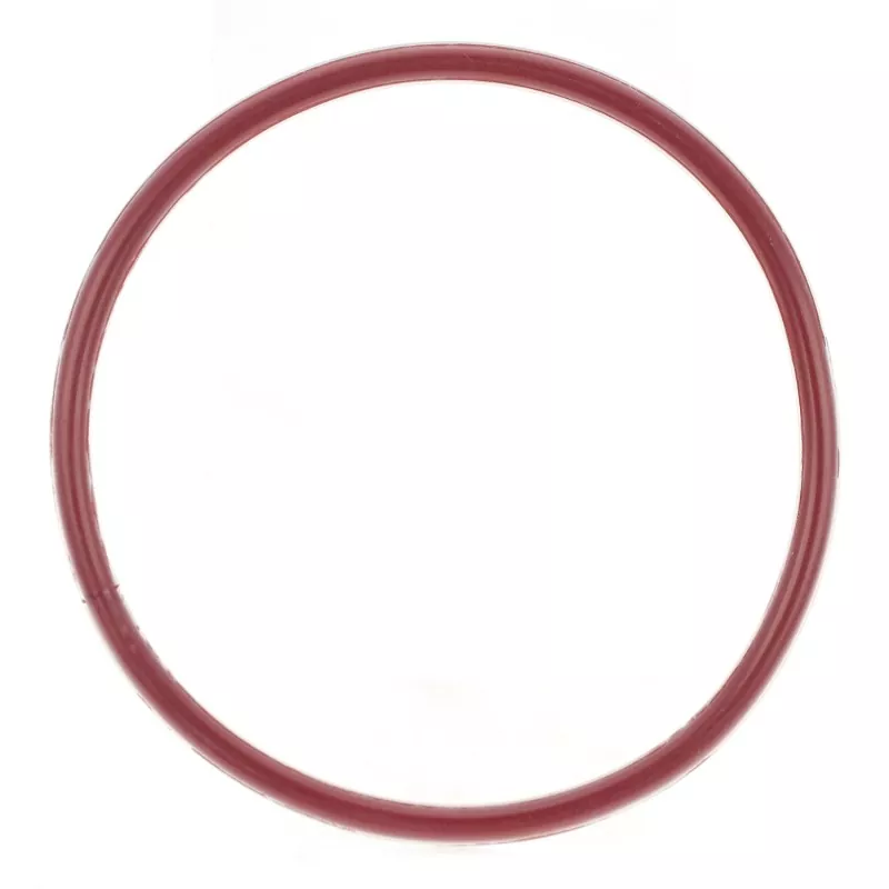 FEP/PFA ingekapselde O-ring