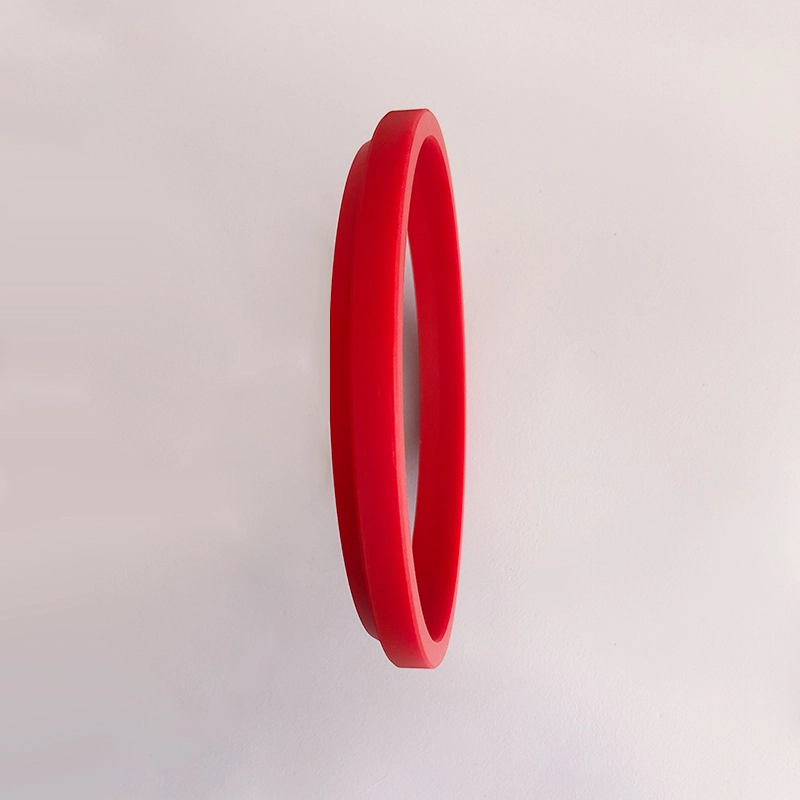 Hydraulic Dust Seals